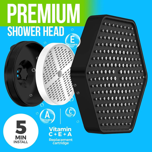 Rainfall Filtered Shower Head in Mate Black